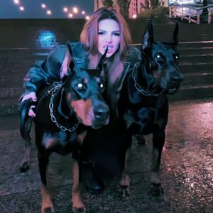 夸克动漫砰砰砰
